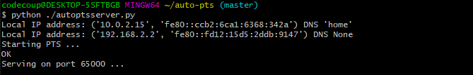 ../../../_images/autoptsserver_run_2.png