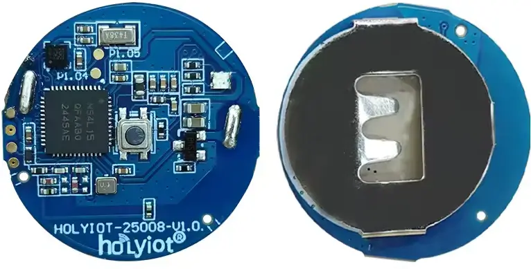 A picture of the HOLYIOT 25008 board